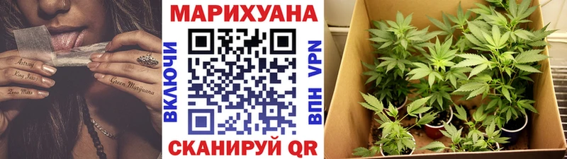 где купить наркоту  кракен рабочий сайт  Конопля конопля  Каргат 